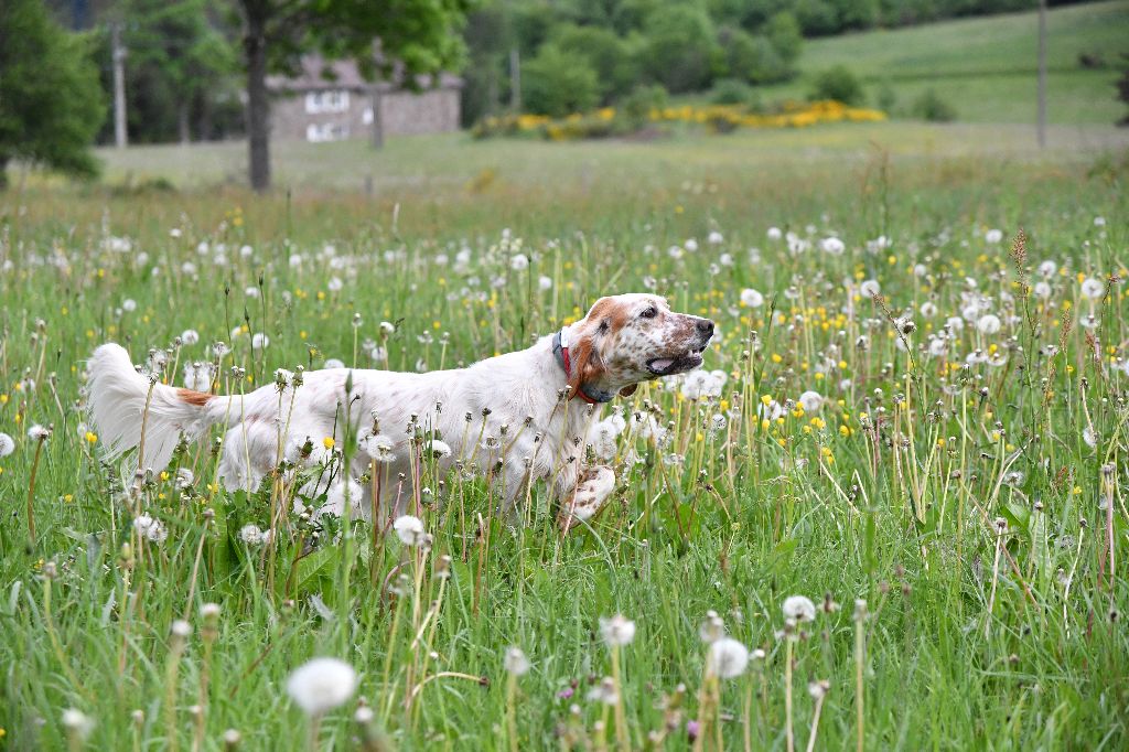 Milly du Mas d'Eyraud