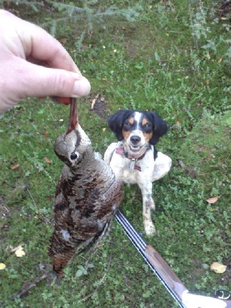 JOYS A LA CHASSE